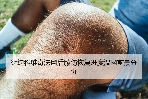 德约科维奇法网后膝伤恢复进度温网前景分析